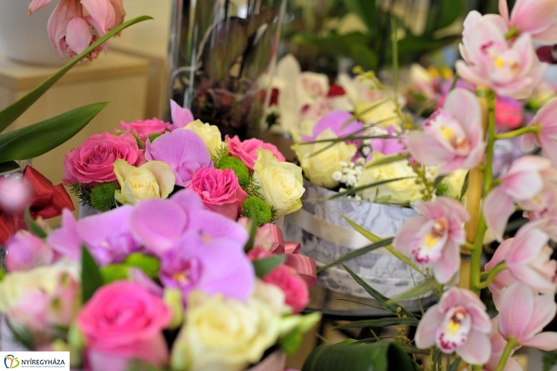 Nőnapra hangolva - fotó Szarka Lajos