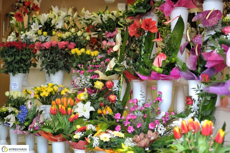 Nőnapra hangolva - fotó Szarka Lajos