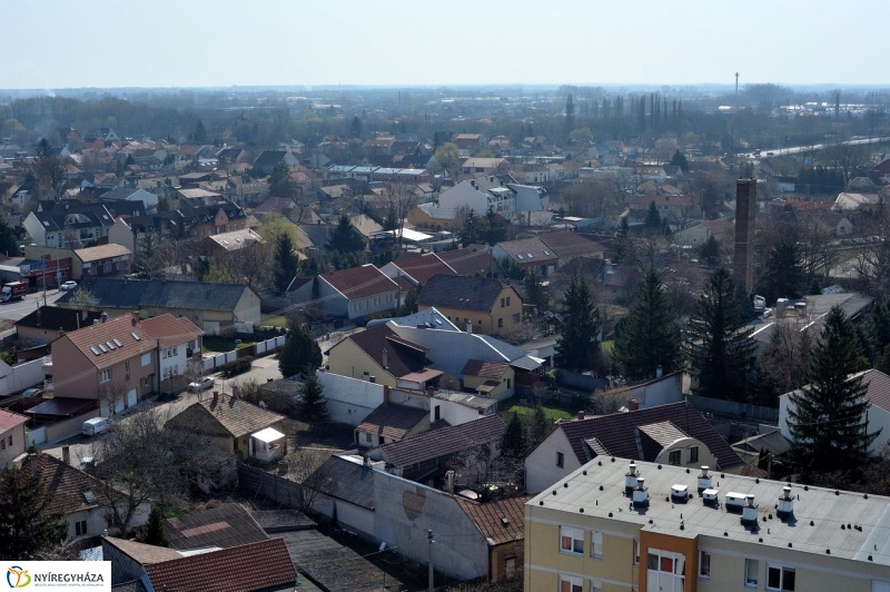 Víz Világnapja - fotó Szarka Lajos