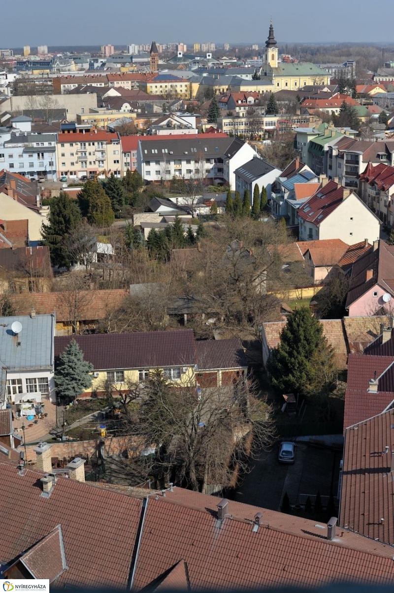 Víz Világnapja - fotó Szarka Lajos