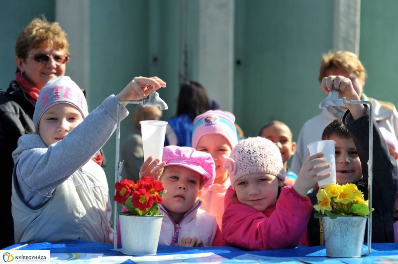 Víz Világnapja - fotó Szarka Lajos