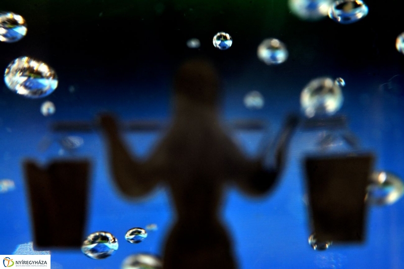 Víz Világnapja - fotó Szarka Lajos