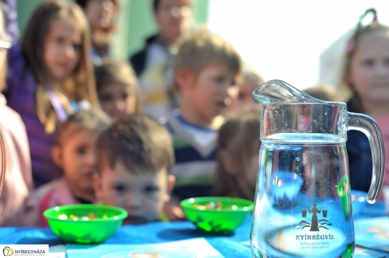 Víz Világnapja - fotó Szarka Lajos