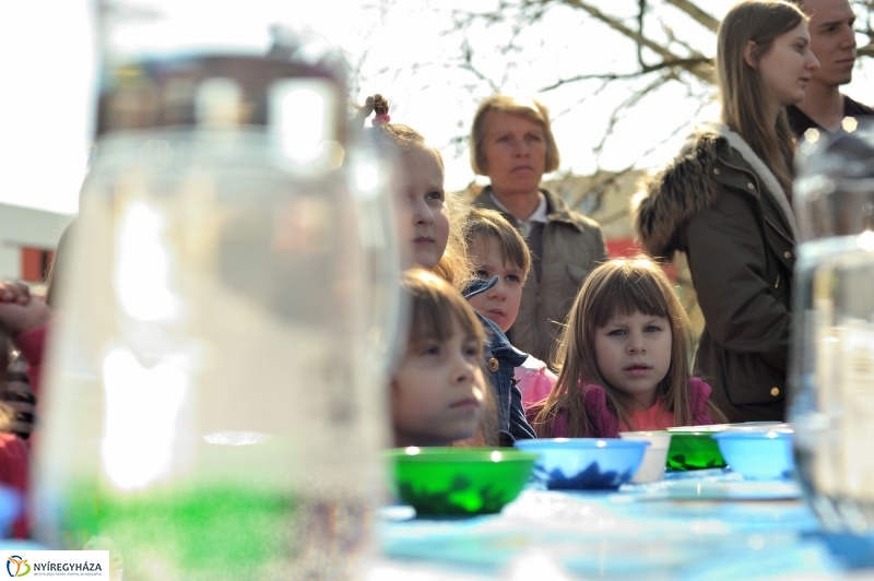 Víz Világnapja - fotó Szarka Lajos