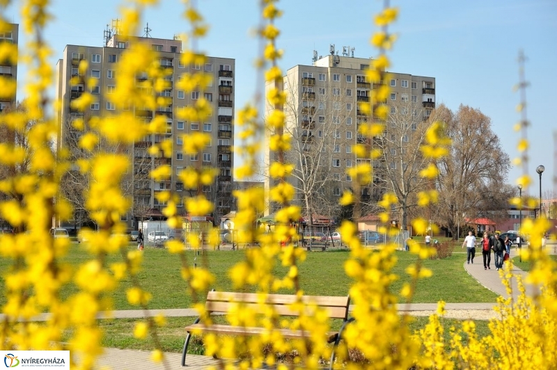 Örökösföldi tavasz kezdet - fotó Szarka Lajos