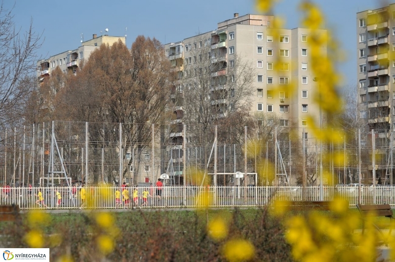 Örökösföldi tavasz kezdet - fotó Szarka Lajos