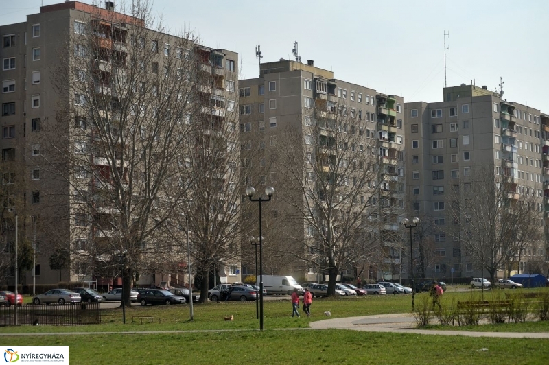 Örökösföldi tavasz kezdet - fotó Szarka Lajos