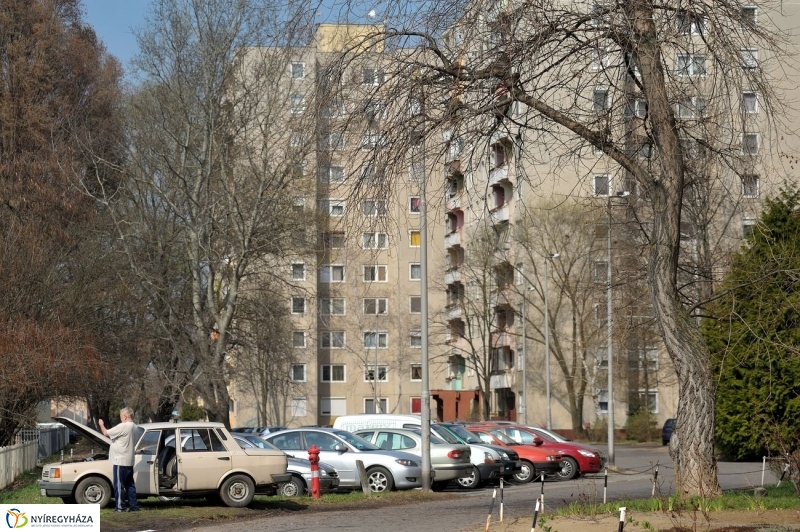 Örökösföldi tavasz kezdet - fotó Szarka Lajos