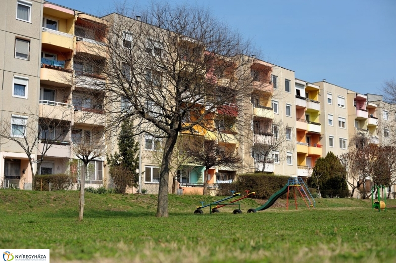 Örökösföldi tavasz kezdet - fotó Szarka Lajos