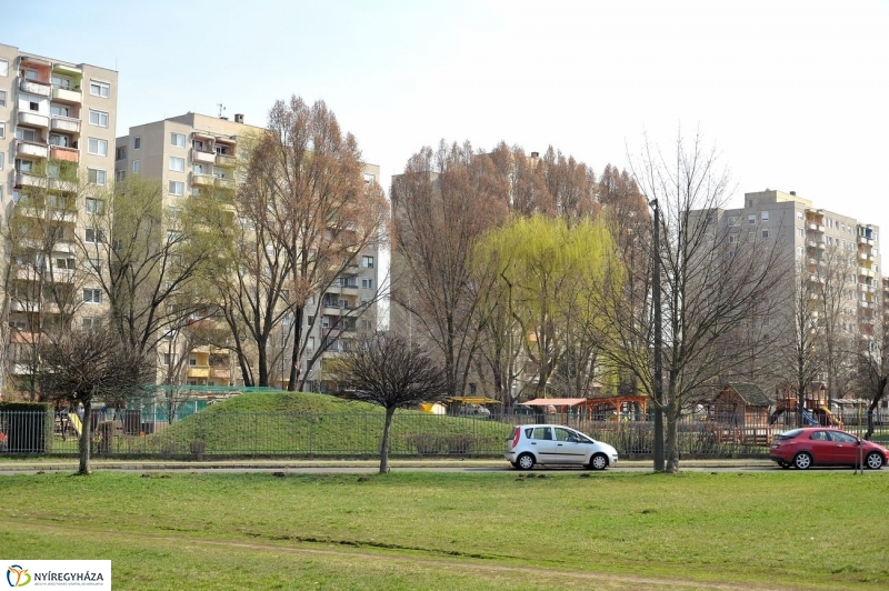 Örökösföldi tavasz kezdet - fotó Szarka Lajos
