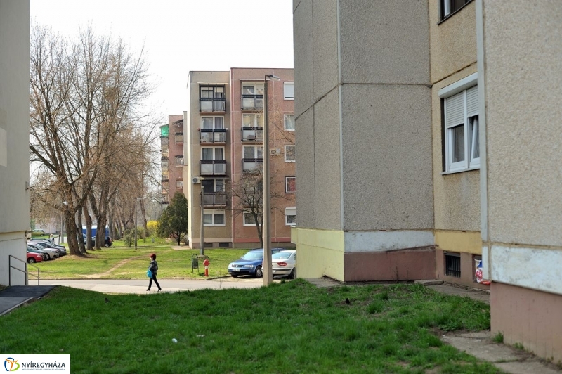 Örökösföldi tavasz kezdet - fotó Szarka Lajos