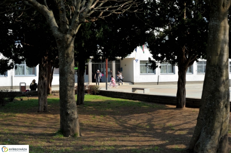 Örökösföldi tavasz kezdet - fotó Szarka Lajos