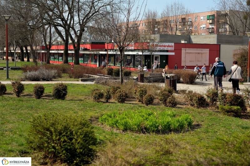 Örökösföldi tavasz kezdet - fotó Szarka Lajos