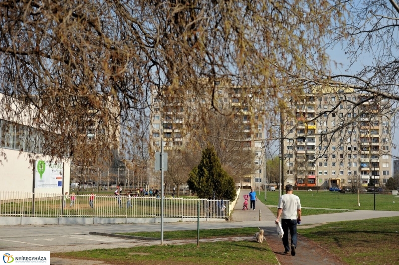 Örökösföldi tavasz kezdet - fotó Szarka Lajos