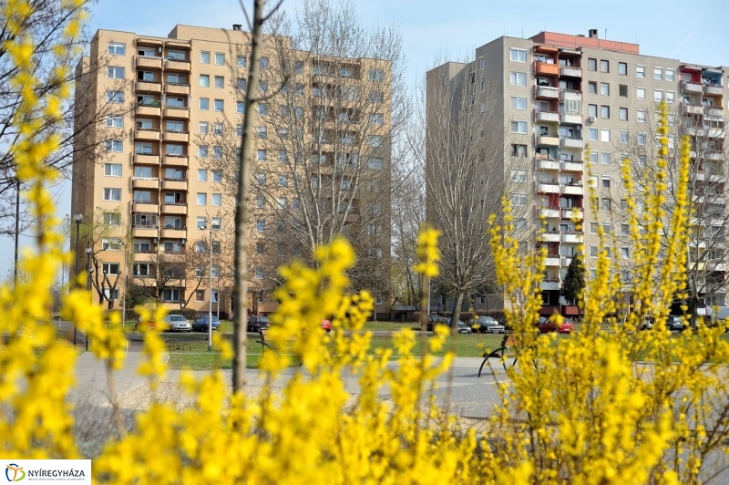 Örökösföldi tavasz kezdet - fotó Szarka Lajos
