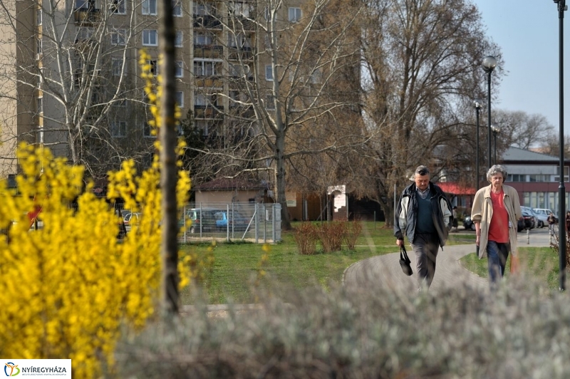 Örökösföldi tavasz kezdet - fotó Szarka Lajos