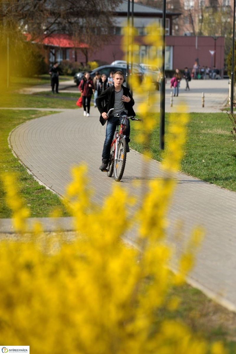 Örökösföldi tavasz kezdet - fotó Szarka Lajos