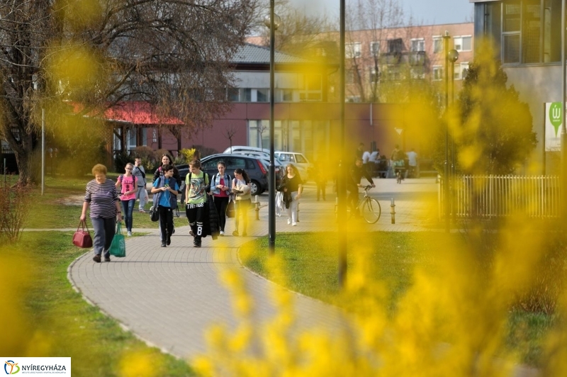 Örökösföldi tavasz kezdet - fotó Szarka Lajos