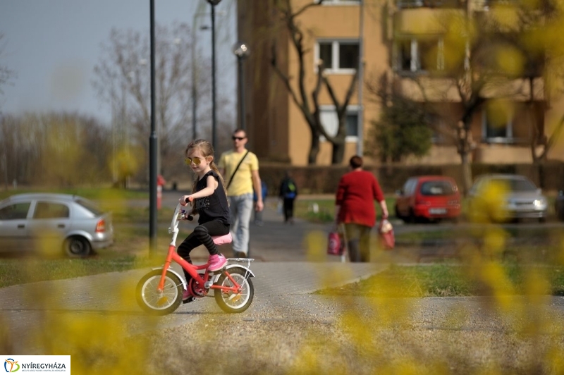 Örökösföldi tavasz kezdet - fotó Szarka Lajos