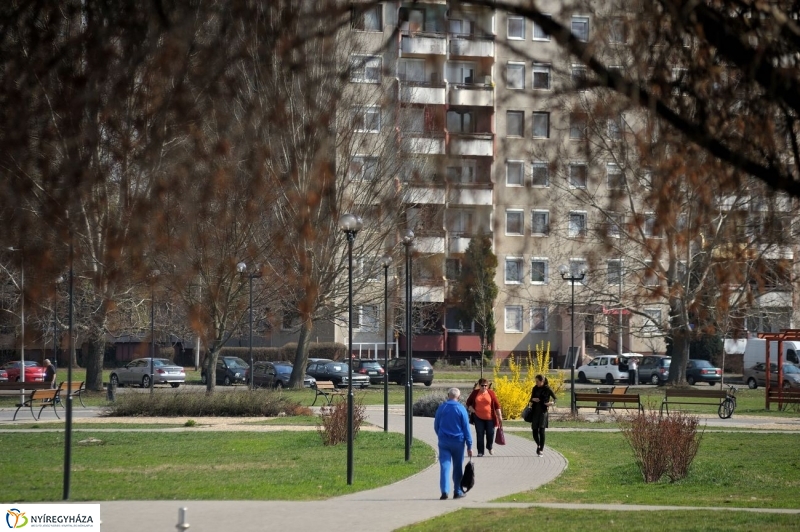 Örökösföldi tavasz kezdet - fotó Szarka Lajos