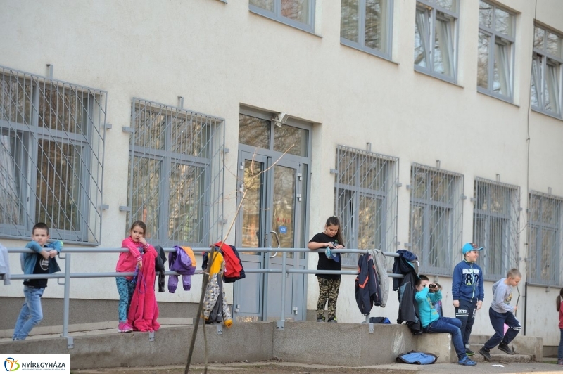 Tavasz a Mórában - fotó Szarka Lajos