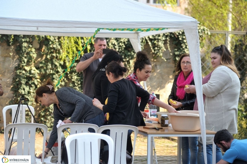 Szociális munka ünnepe - fotó Szarka Lajos