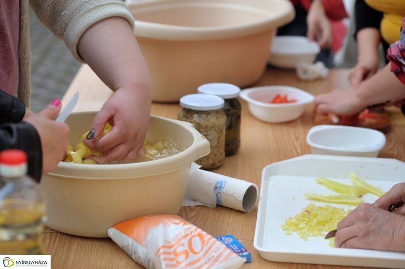 Szociális munka ünnepe - fotó Szarka Lajos