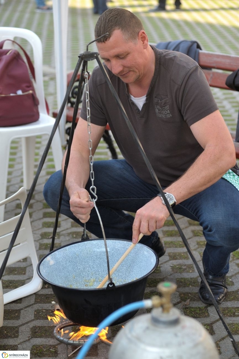 Szociális munka ünnepe - fotó Szarka Lajos