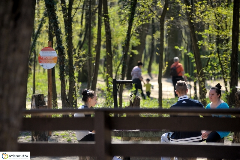Tavasz a Sóstói Parkerdőben - fotó Szarka Lajos