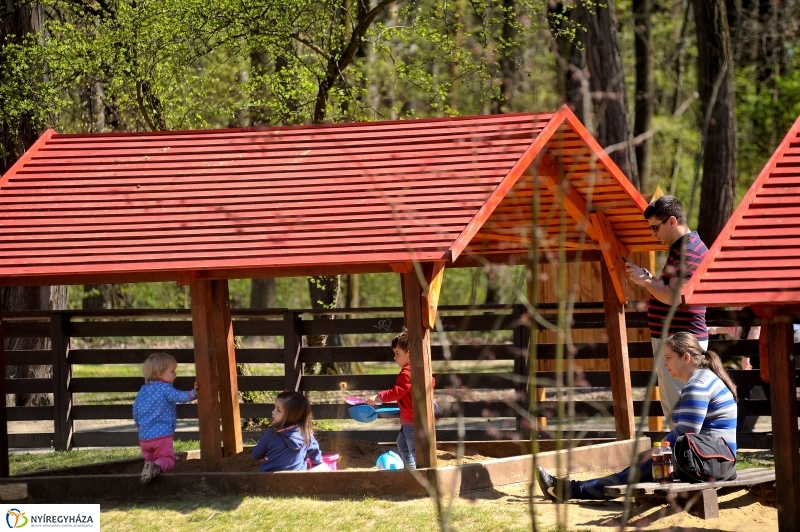 Tavasz a Sóstói Parkerdőben - fotó Szarka Lajos