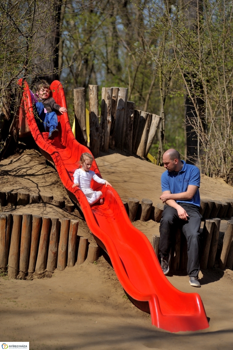 Tavasz a Sóstói Parkerdőben - fotó Szarka Lajos