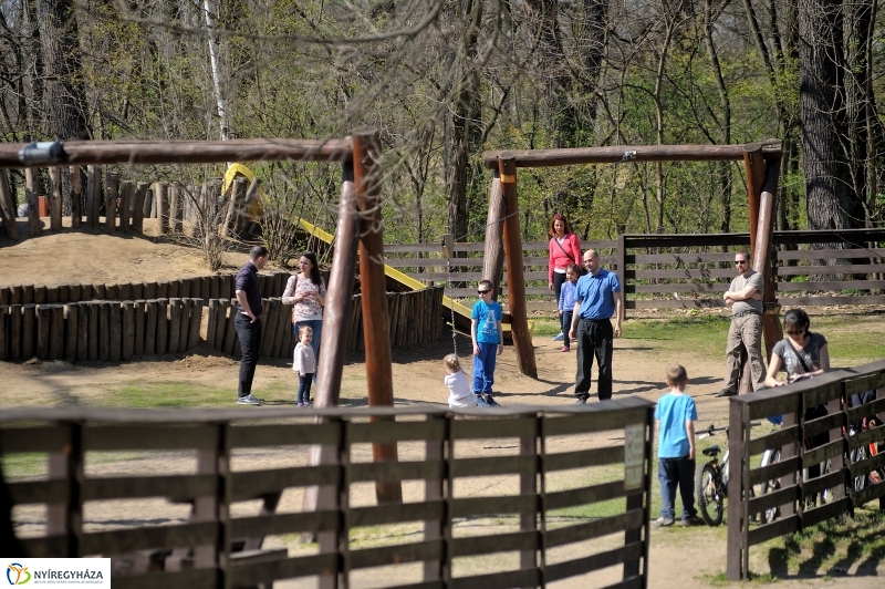 Tavasz a Sóstói Parkerdőben - fotó Szarka Lajos