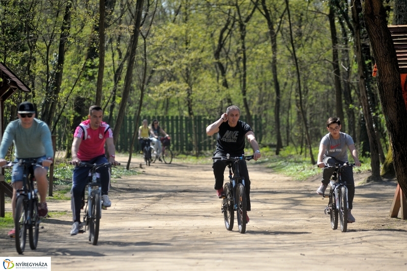 Tavasz a Sóstói Parkerdőben - fotó Szarka Lajos