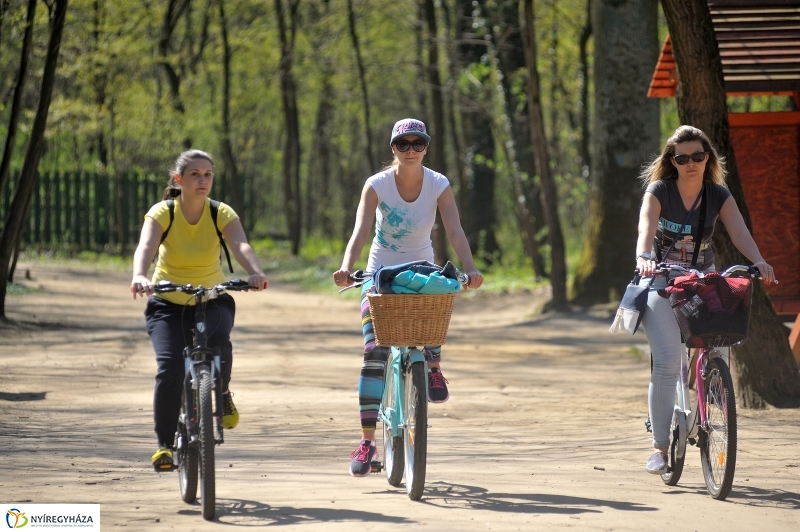 Tavasz a Sóstói Parkerdőben - fotó Szarka Lajos