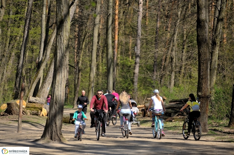 Tavasz a Sóstói Parkerdőben - fotó Szarka Lajos