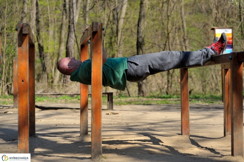 Tavasz a Sóstói Parkerdőben - fotó Szarka Lajos