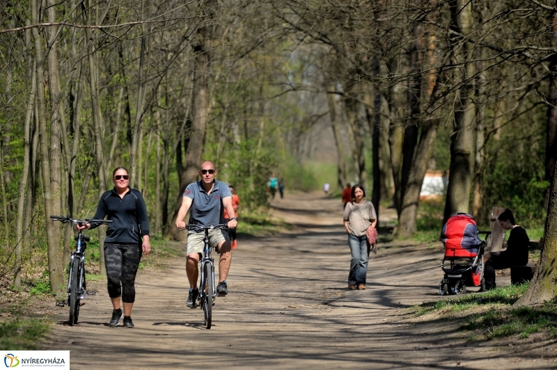 Tavasz a Sóstói Parkerdőben - fotó Szarka Lajos