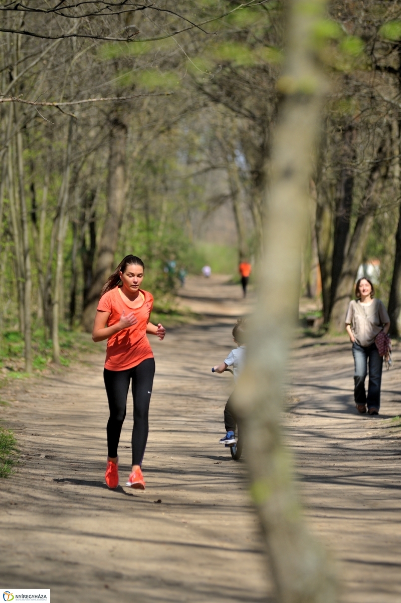 Tavasz a Sóstói Parkerdőben - fotó Szarka Lajos