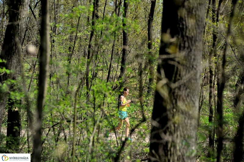 Tavasz a Sóstói Parkerdőben - fotó Szarka Lajos