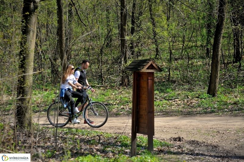 Tavasz a Sóstói Parkerdőben - fotó Szarka Lajos