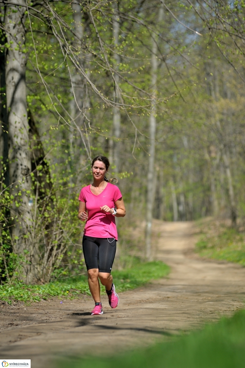 Tavasz a Sóstói Parkerdőben - fotó Szarka Lajos