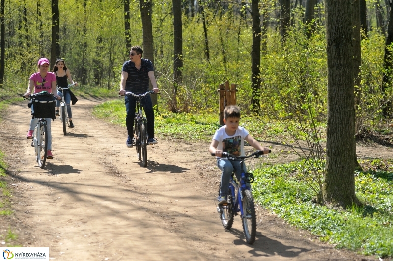 Tavasz a Sóstói Parkerdőben - fotó Szarka Lajos