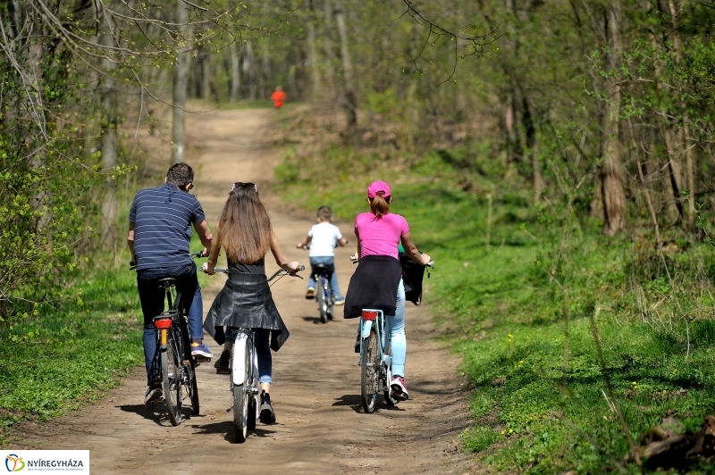 Tavasz a Sóstói Parkerdőben - fotó Szarka Lajos