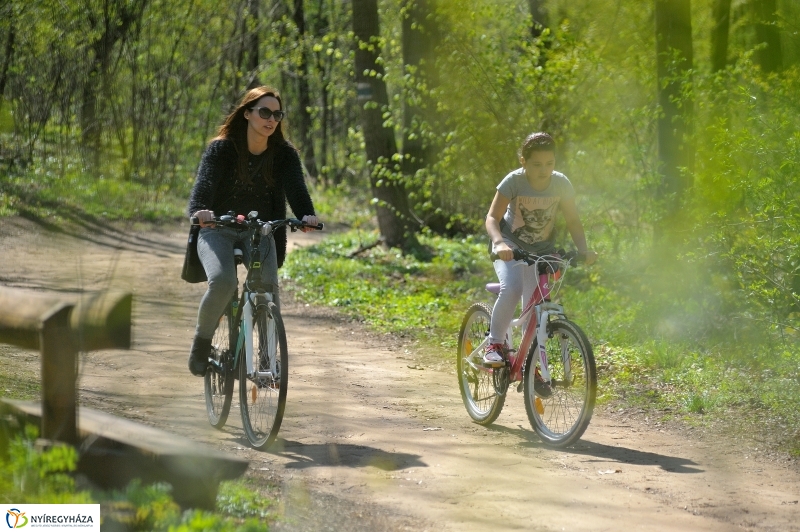Tavasz a Sóstói Parkerdőben - fotó Szarka Lajos