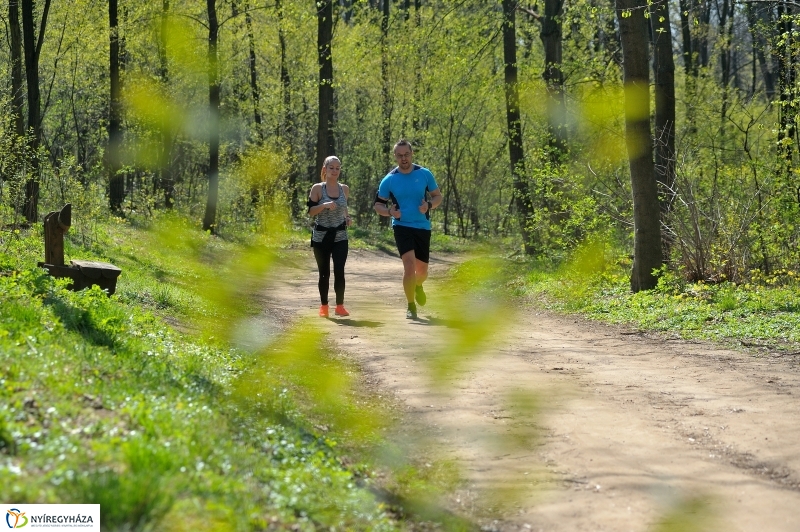 Tavasz a Sóstói Parkerdőben - fotó Szarka Lajos