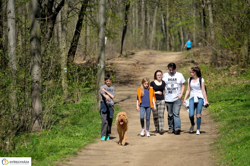Tavasz a Sóstói Parkerdőben - fotó Szarka Lajos
