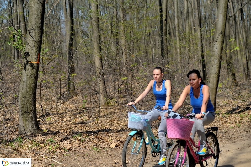 Tavasz a Sóstói Parkerdőben - fotó Szarka Lajos