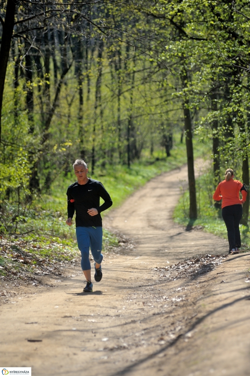 Tavasz a Sóstói Parkerdőben - fotó Szarka Lajos