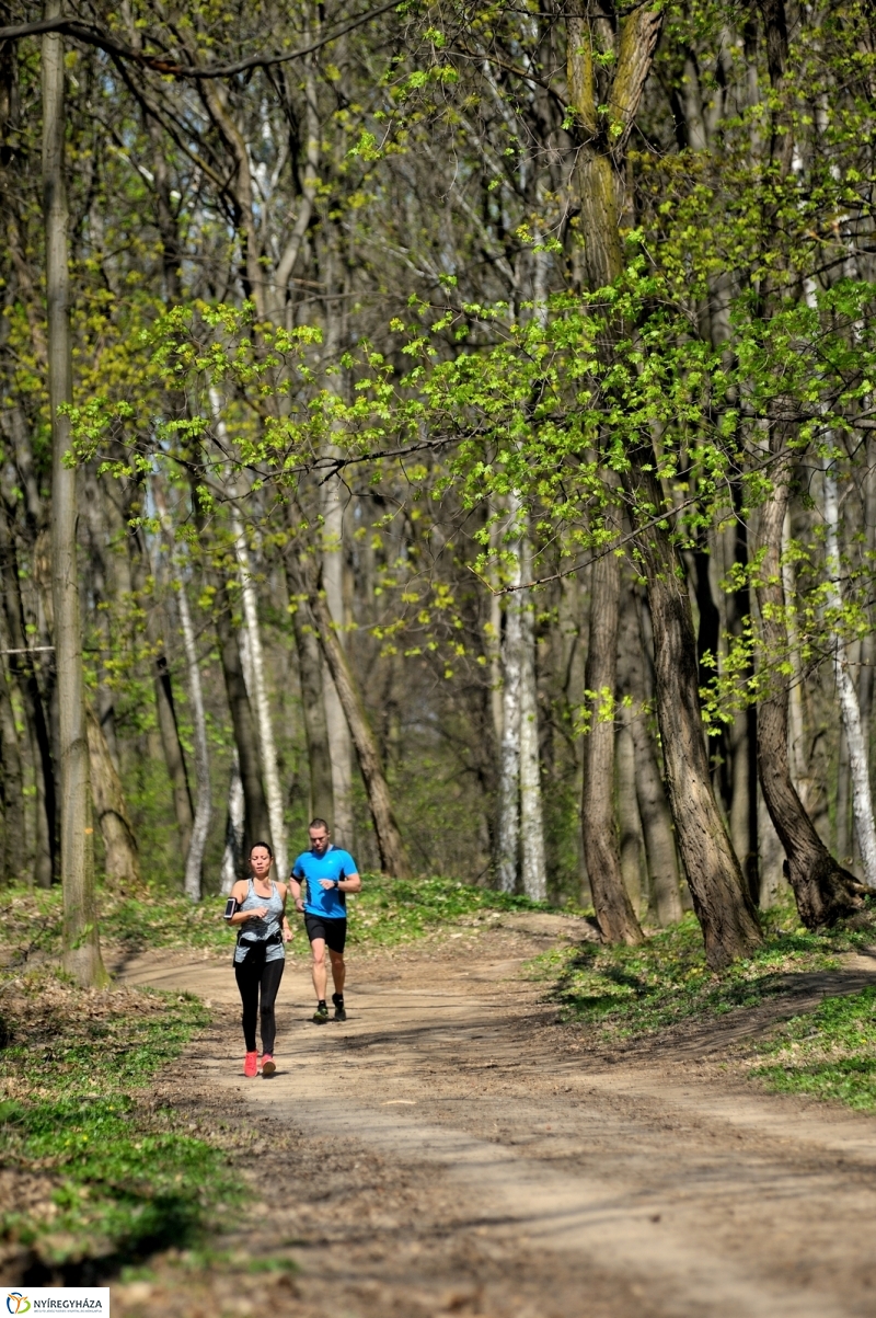 Tavasz a Sóstói Parkerdőben - fotó Szarka Lajos