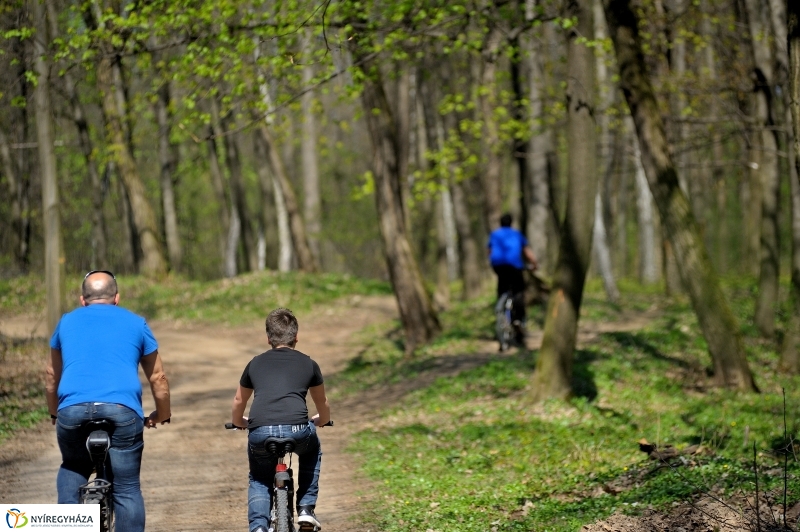 Tavasz a Sóstói Parkerdőben - fotó Szarka Lajos